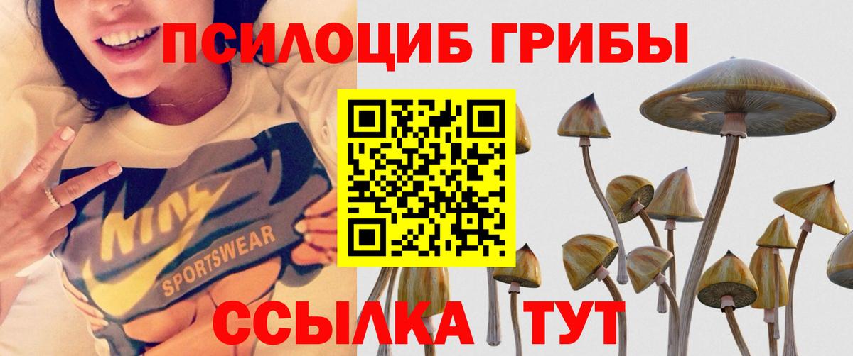 Псилоцибиновые грибы Magic Shrooms  Псилоцибиновые грибы Magic Shrooms  Магадан  Вход с VPN 